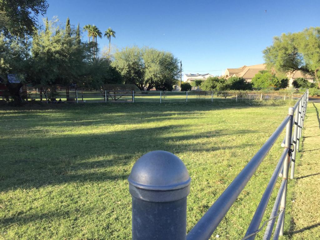 3307 E Mcdowell Rd, Mesa, AZ 85213 photo 2