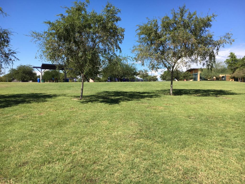 3402 W Patrick Ln, Phoenix, AZ 85027 photo 33