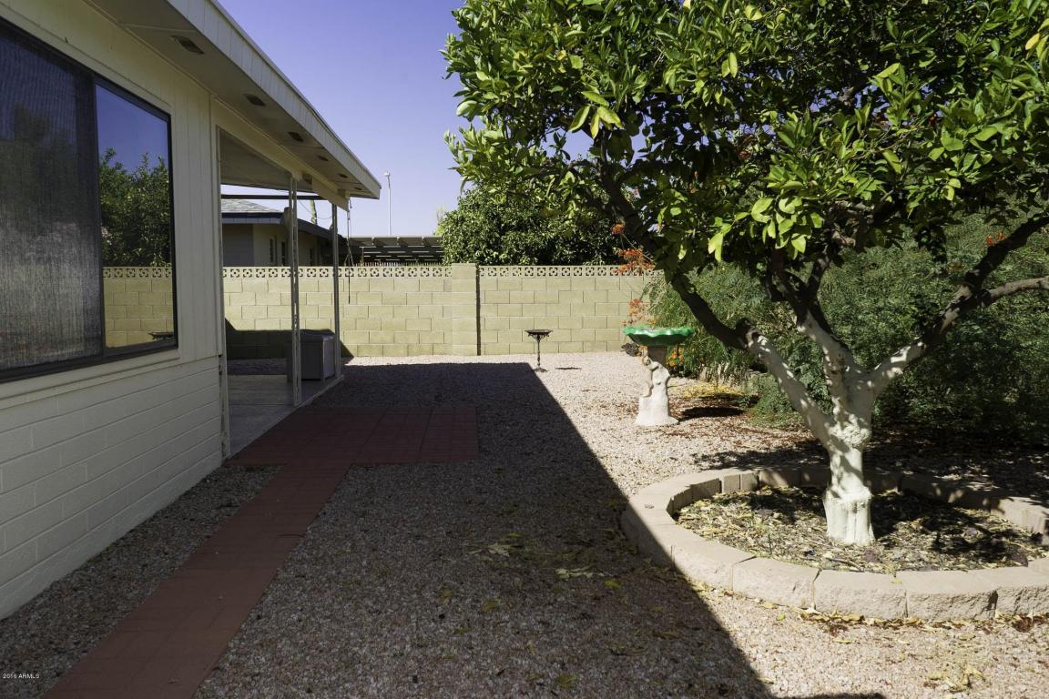 8244 E Lobo Ave, Mesa, AZ 85209 photo 22
