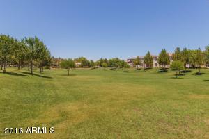 3812 E Sabra Ln, Gilbert, AZ 85296 photo 37
