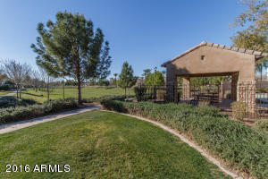 3812 E Sabra Ln, Gilbert, AZ 85296 photo 38