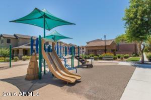 3812 E Sabra Ln, Gilbert, AZ 85296 photo 36