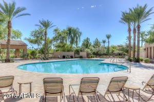 3812 E Sabra Ln, Gilbert, AZ 85296 photo 39