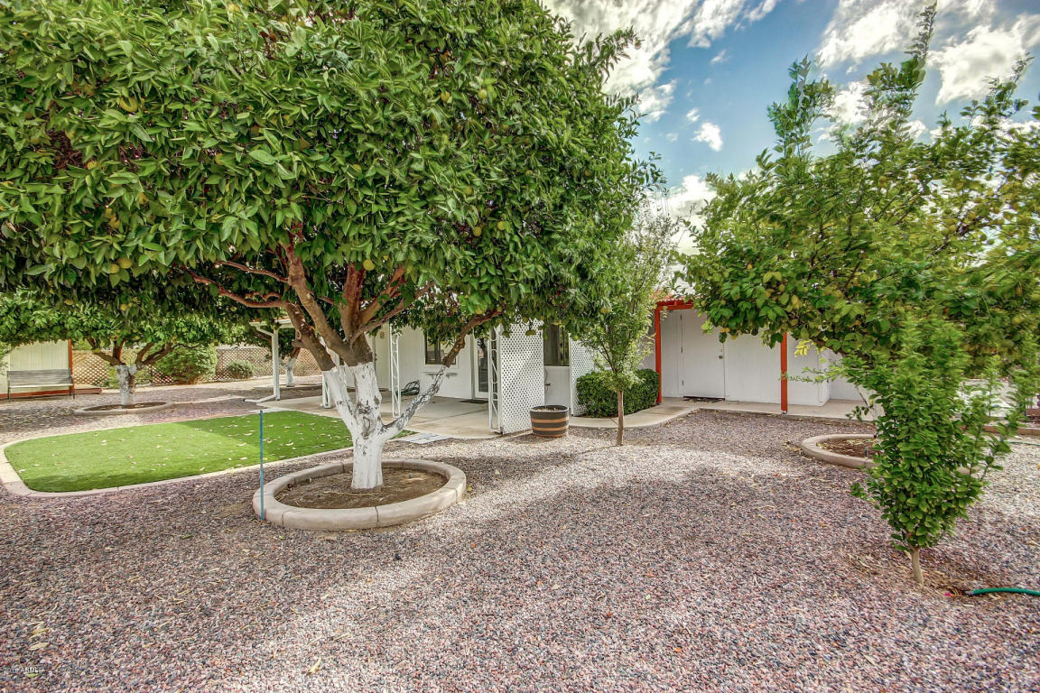 6118 Ellis St, Mesa, AZ 85205 photo 35
