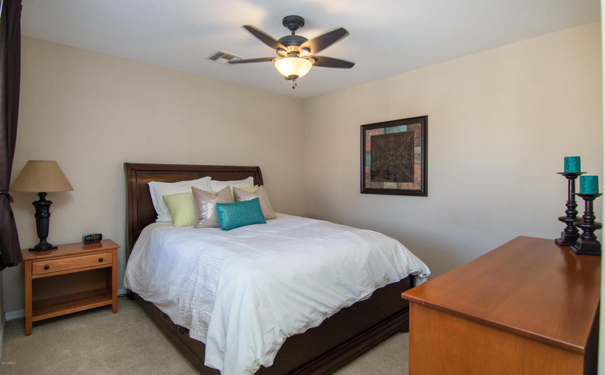 3936 E Cat Balue Dr, Phoenix, AZ 85050 photo 8