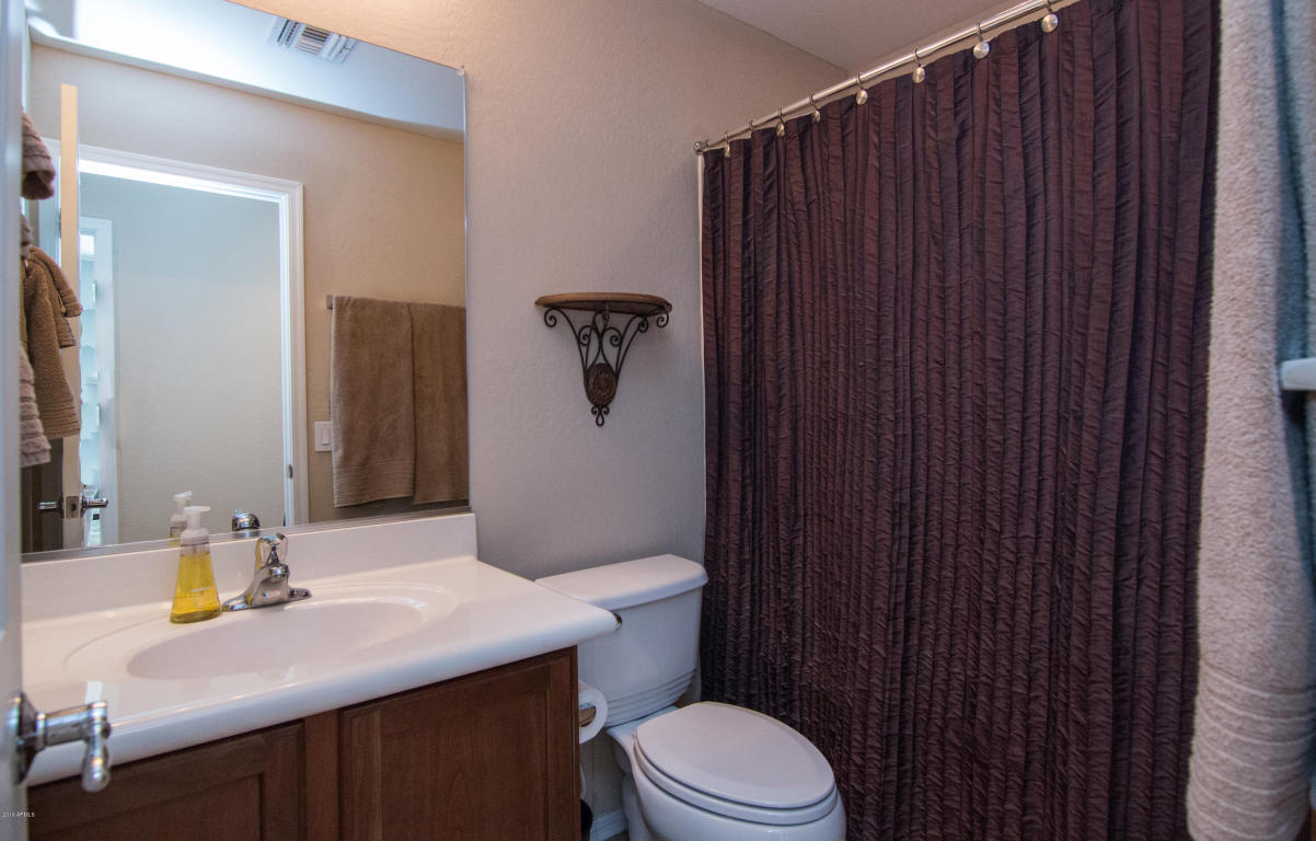 3936 E Cat Balue Dr, Phoenix, AZ 85050 photo 7