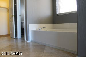 970 E Scott Ave, Gilbert, AZ 85234 photo 10