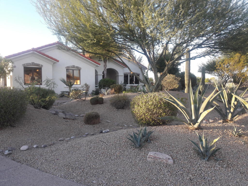 2629 E Cattle Dr, Gilbert, AZ 85297 photo 49