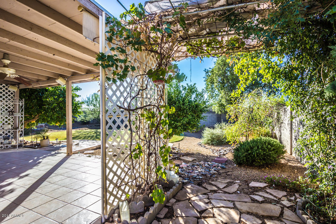 3527 E Willow Ave, Phoenix, AZ 85032 photo 24