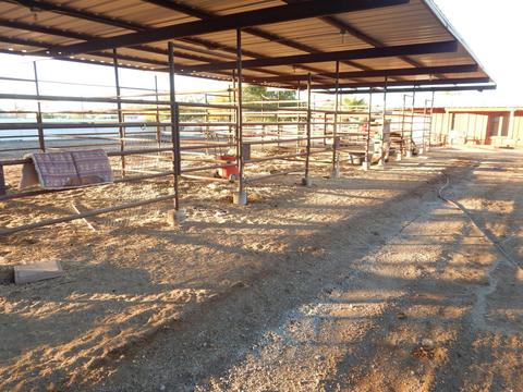 3813 E Via Estrella --, Phoenix, AZ 85028 photo 38