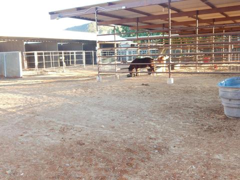 3813 E Via Estrella --, Phoenix, AZ 85028 photo 39
