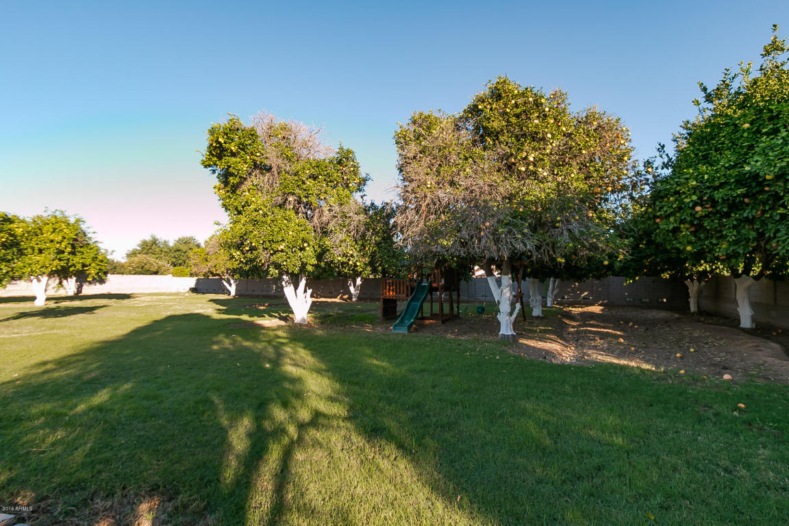 18110 E Sunnybrook Ln, Gilbert, AZ 85298 photo 46