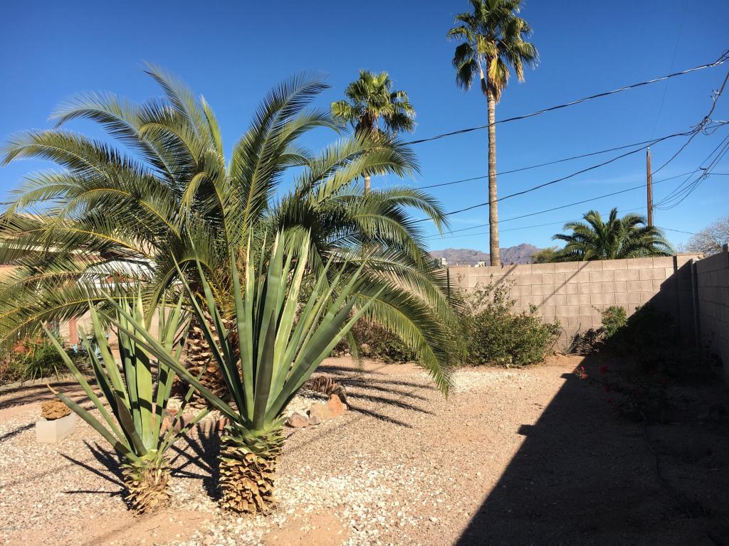 371 W 23rd Ave, Apache Junction, AZ 85120 photo 23