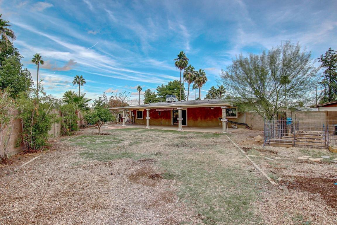 3111 E Dahlia Dr, Phoenix, AZ 85032 photo 7