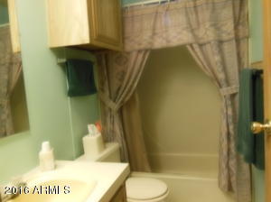 481 W Kaniksu St, Apache Junction, AZ 85120 photo 18