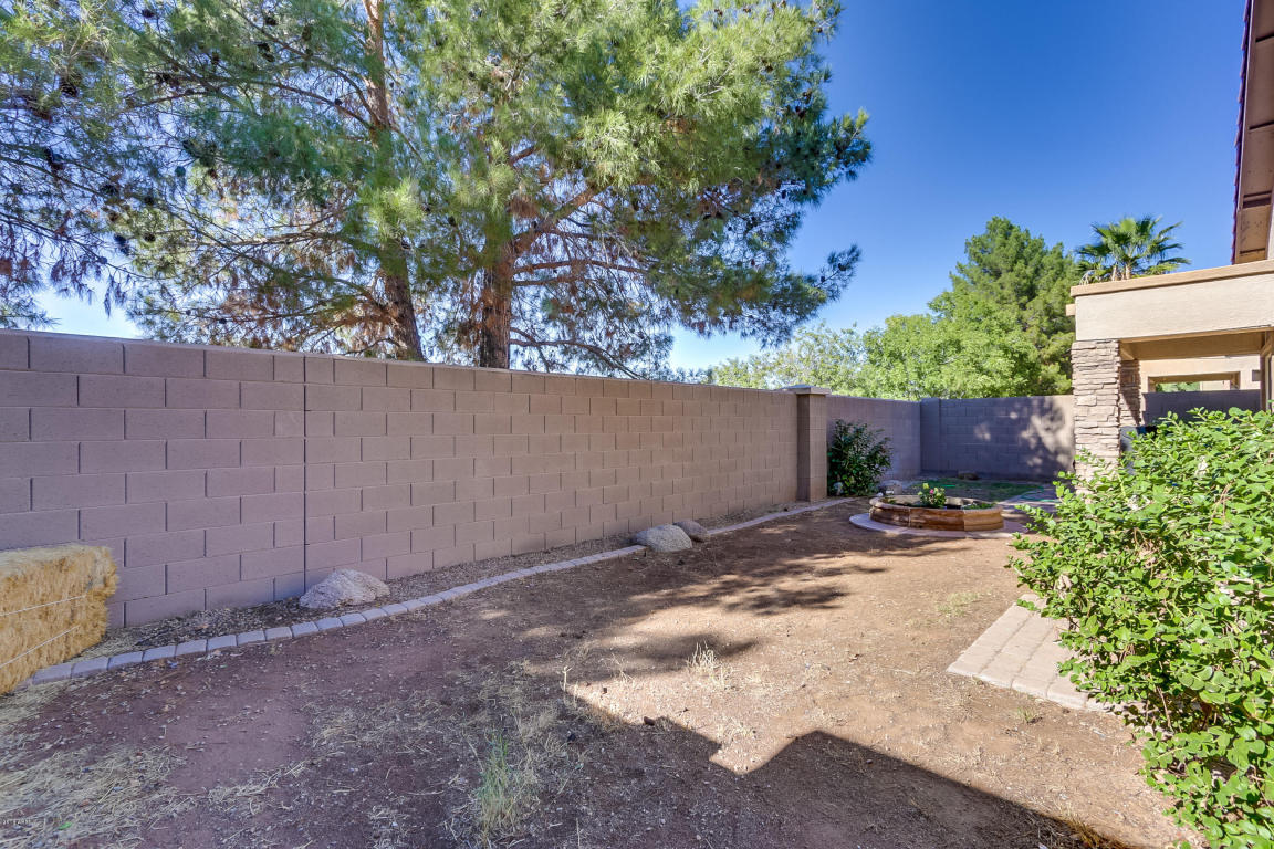 2262 S Bernard --, Mesa, AZ 85209 photo 43