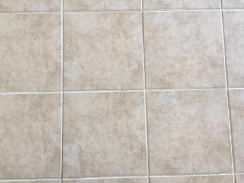 7750 E Broadway Rd #272, Mesa, AZ 85208 photo 18