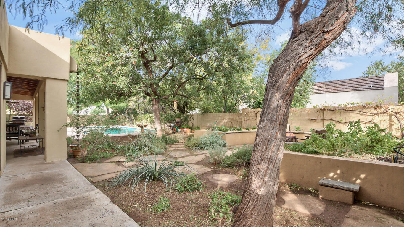 3432 E Las Rocas Dr, Phoenix, AZ 85028 photo 41
