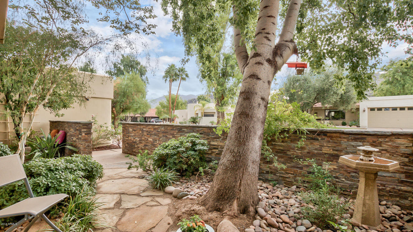 3432 E Las Rocas Dr, Phoenix, AZ 85028 photo 8