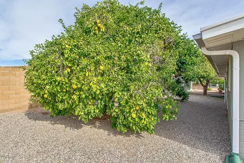 6028 E Covina Rd, Mesa, AZ 85205 photo 36