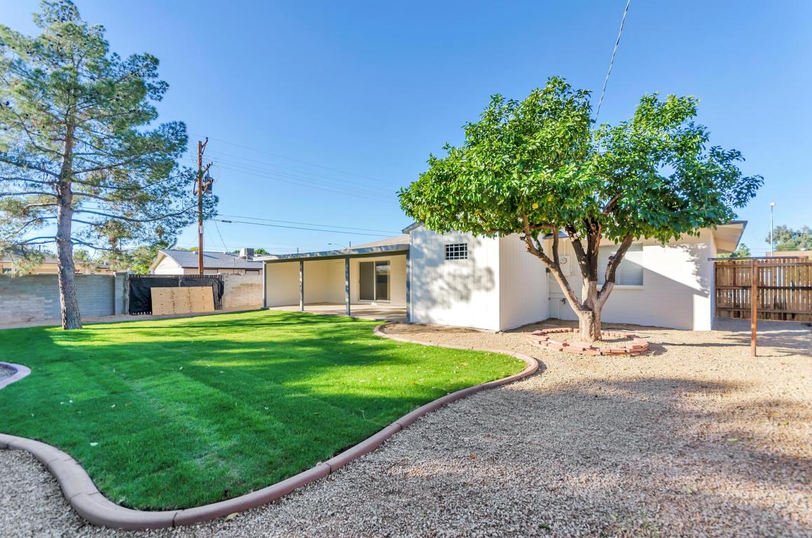 9231 N 18th Dr, Phoenix, AZ 85021 photo 15