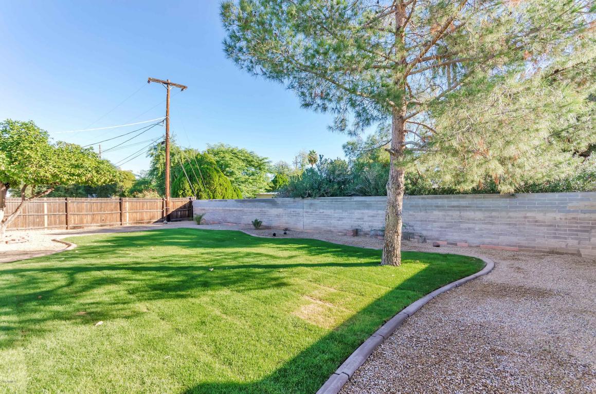 9231 N 18th Dr, Phoenix, AZ 85021 photo 16