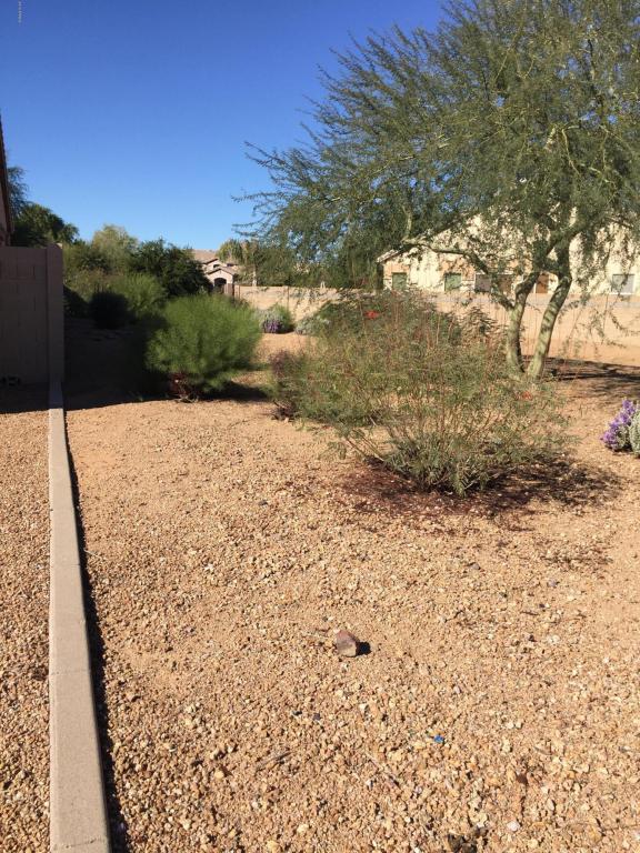 2126 S Porter St, Gilbert, AZ 85295 photo 17