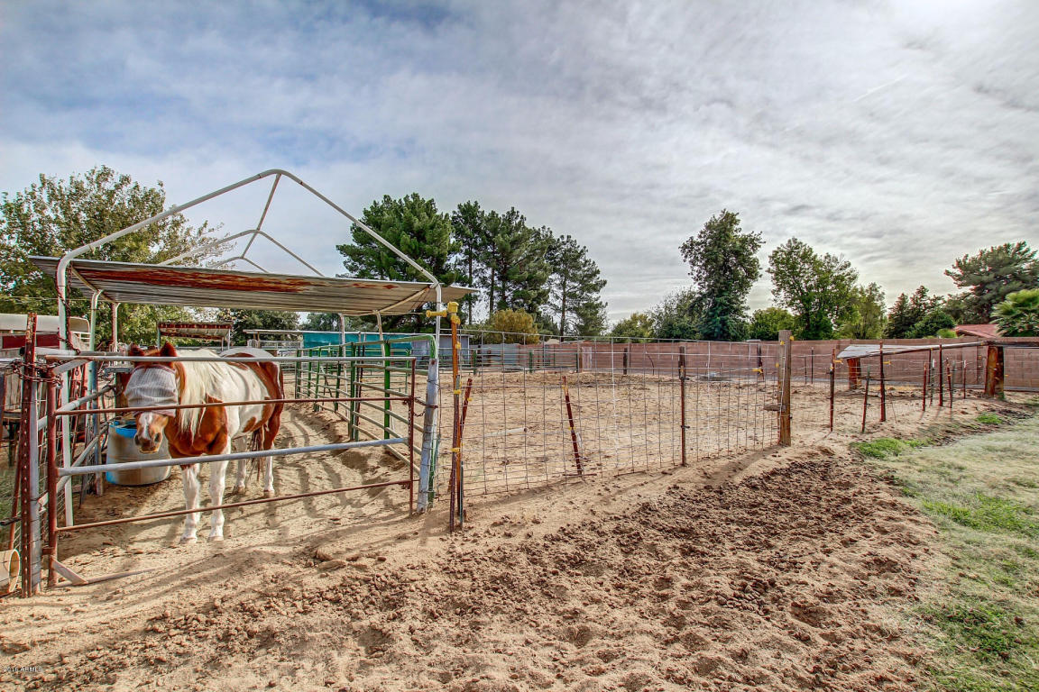13839 E Ray Rd, Gilbert, AZ 85296 photo 20