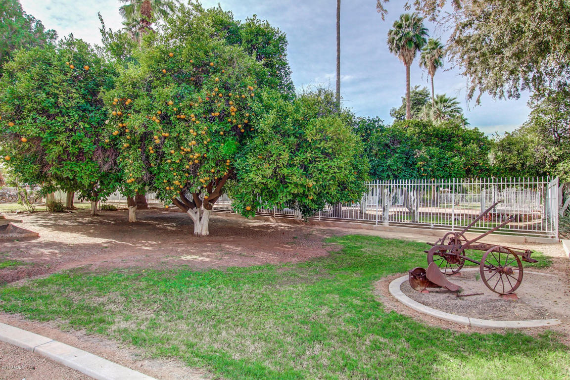 13839 E Ray Rd, Gilbert, AZ 85296 photo 7