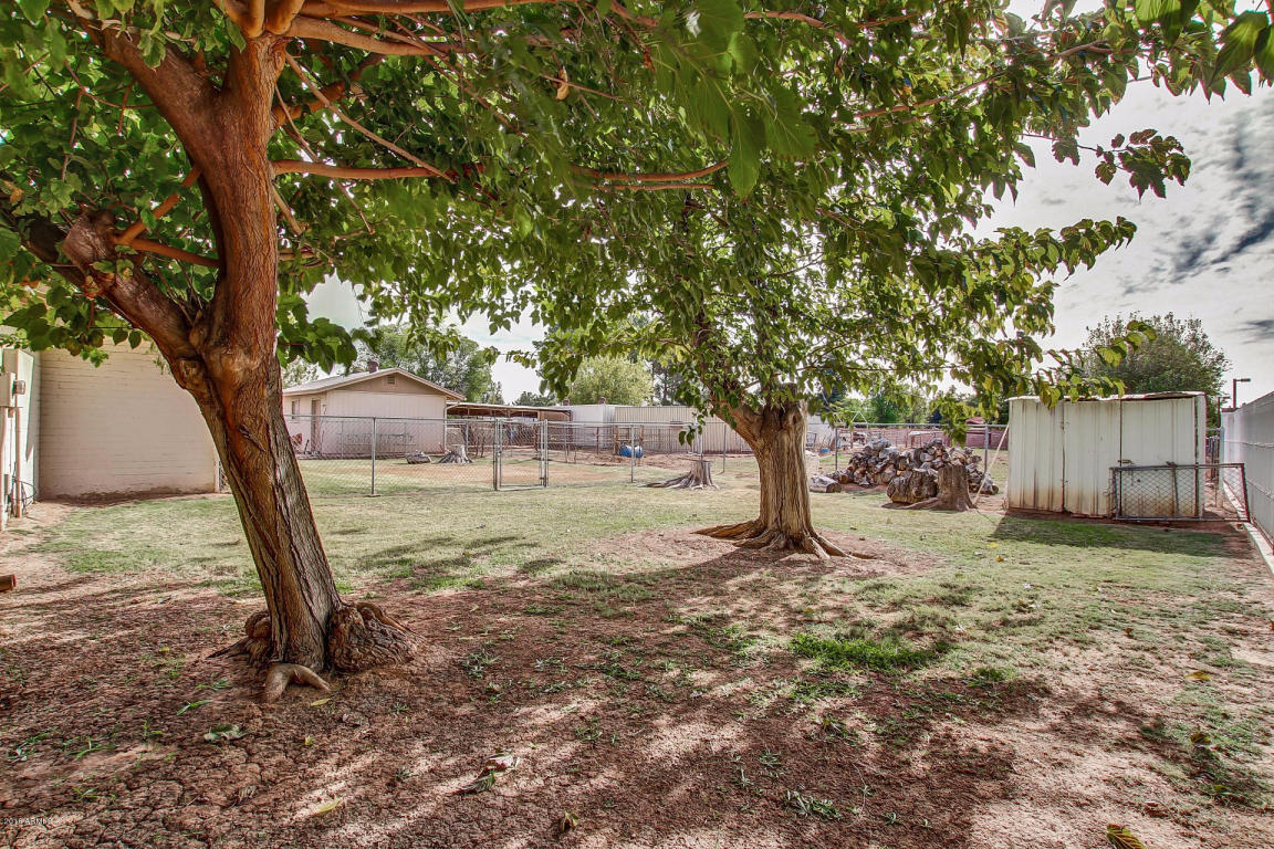 13839 E Ray Rd, Gilbert, AZ 85296 photo 14