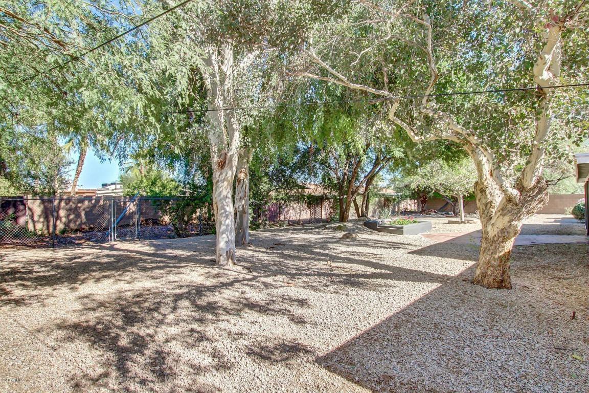 4212 E Sahuaro Dr, Phoenix, AZ 85028 photo 20
