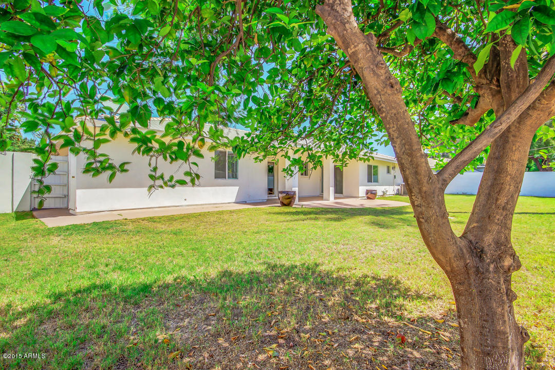4601 E Flower St, Phoenix, AZ 85018 photo 22