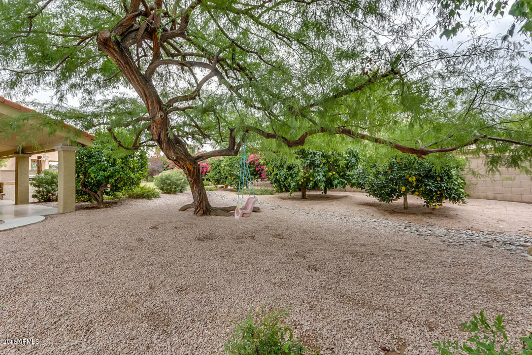 5345 E Mclellan Rd #28, Mesa, AZ 85205 photo 58
