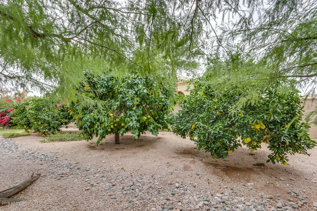 5345 E Mclellan Rd #28, Mesa, AZ 85205 photo 59