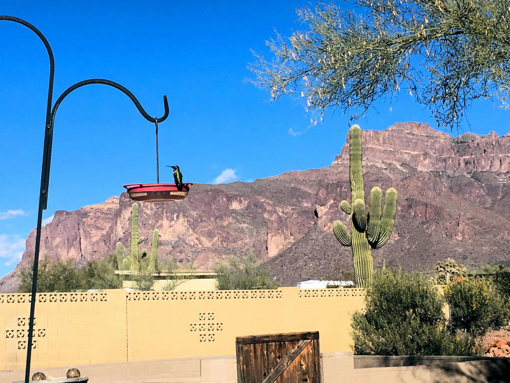 1625 S Sixshooter Rd, Apache Junction, AZ 85119 photo 39