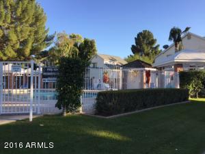 441 S Maple -- #17, Mesa, AZ 85206 photo 18