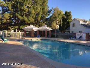 441 S Maple -- #17, Mesa, AZ 85206 photo 17