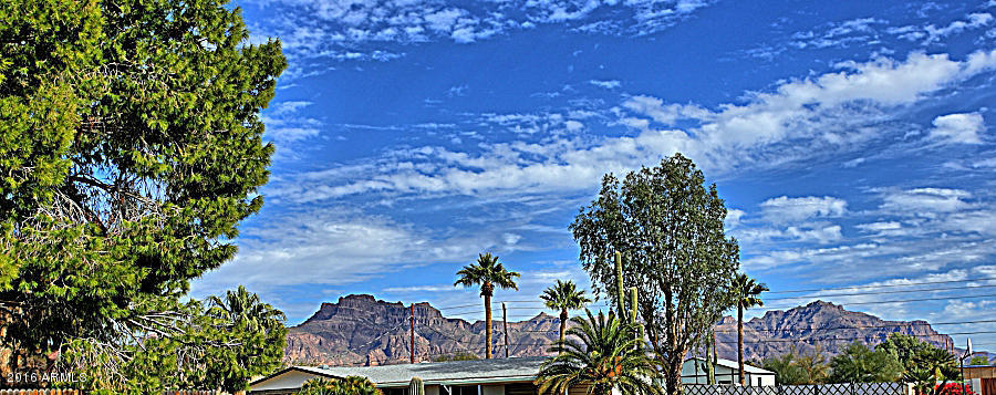 1051 E Navajo Ave, Apache Junction, AZ 85119 photo 12