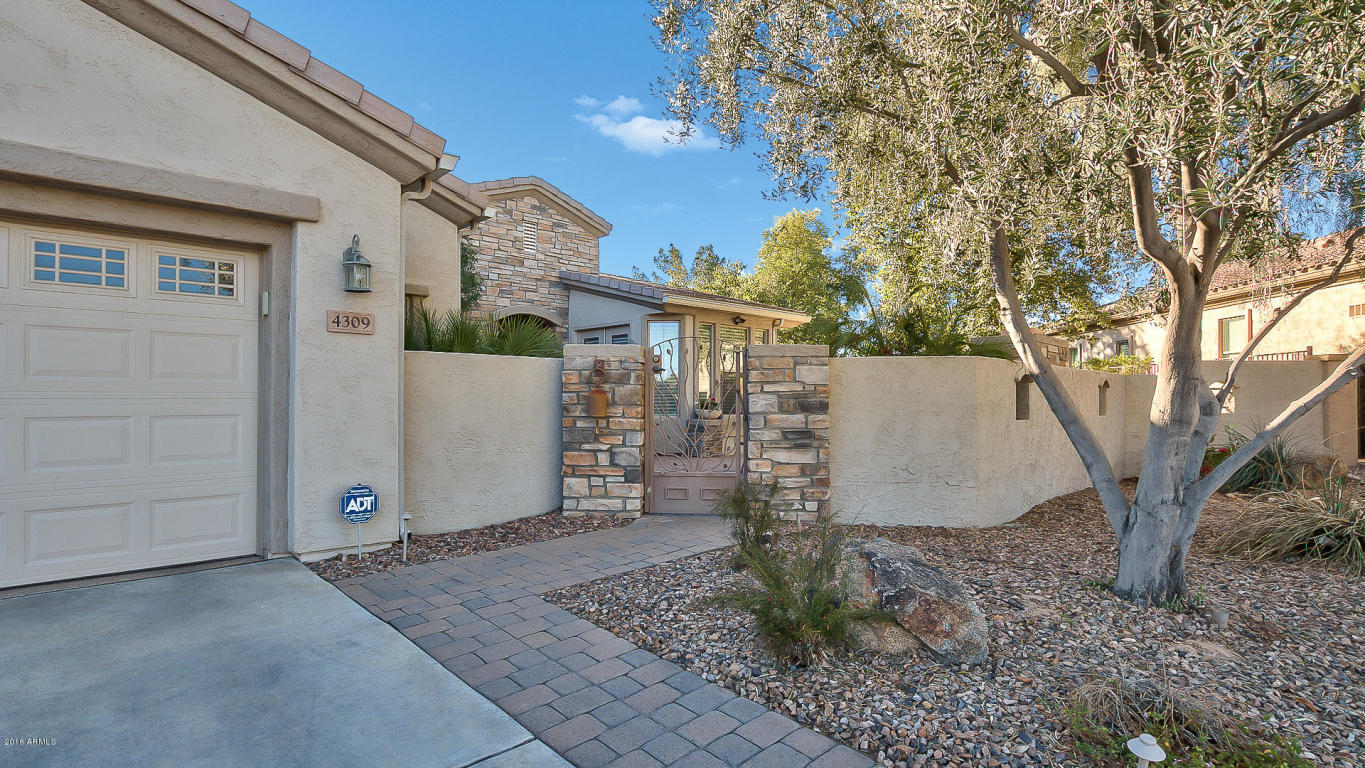 4309 E Indigo St, Gilbert, AZ 85298 photo 4