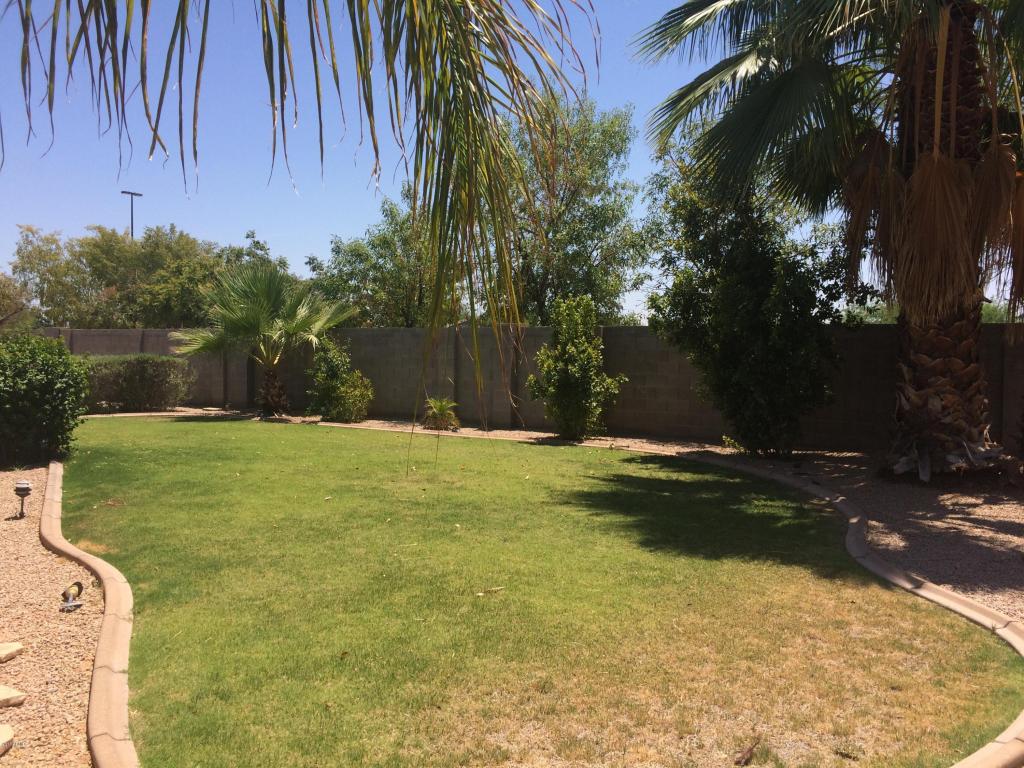 1139 E Morgan Ct, Gilbert, AZ 85295 photo 10