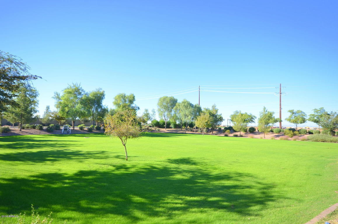 4123 E Oakland St, Gilbert, AZ 85295 photo 34