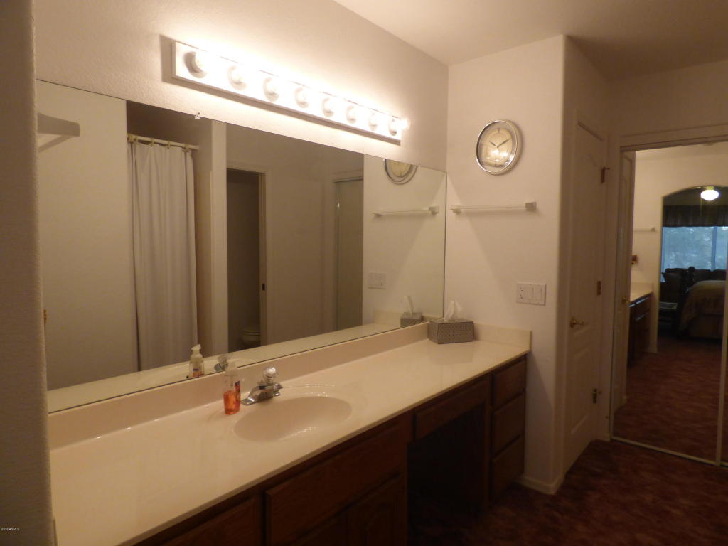 313 E Canyon St, Apache Junction, AZ 85119 photo 19