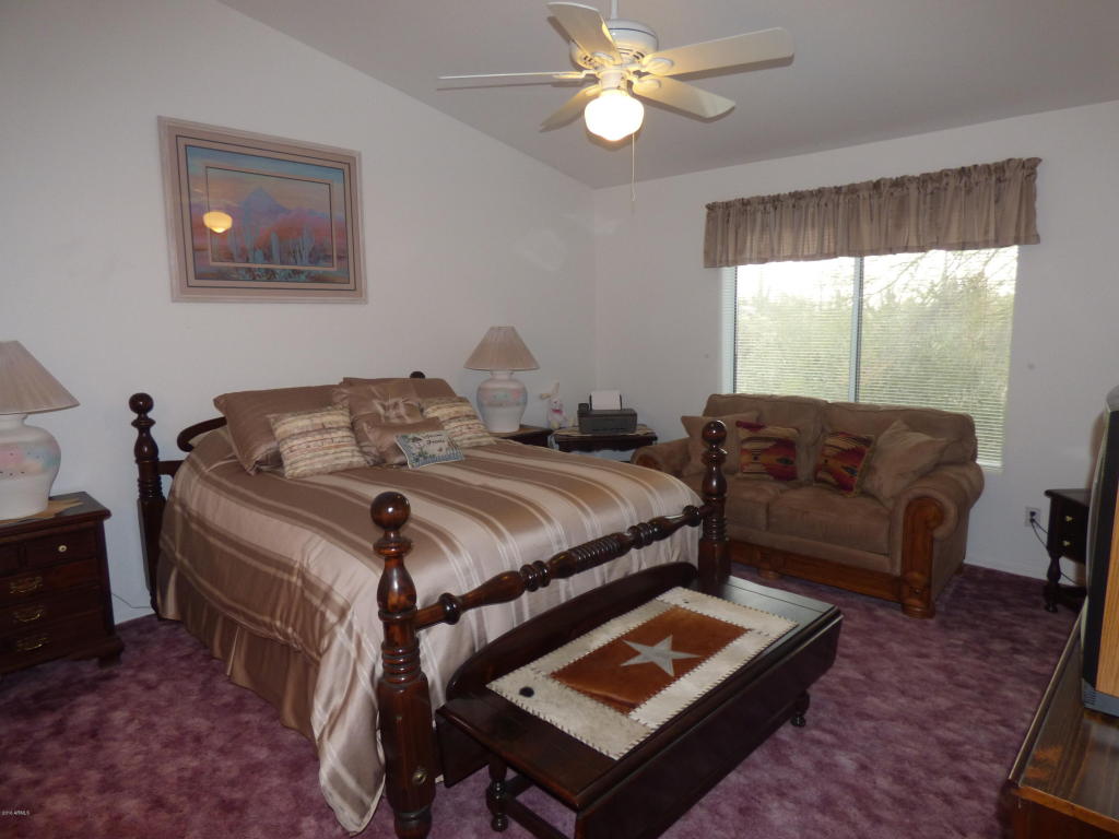 313 E Canyon St, Apache Junction, AZ 85119 photo 10