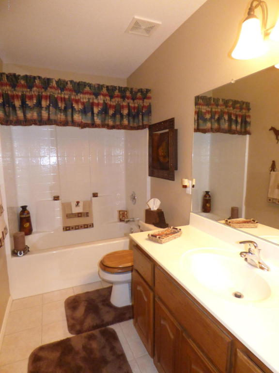 313 E Canyon St, Apache Junction, AZ 85119 photo 14