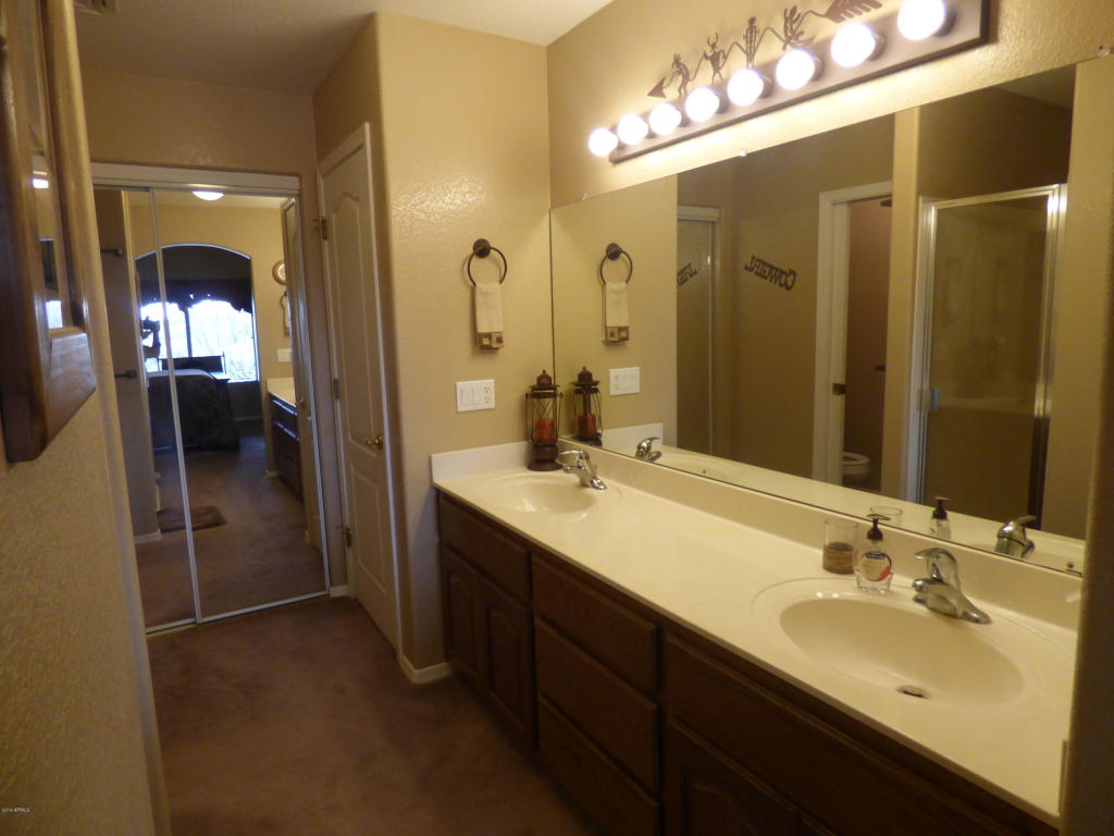 313 E Canyon St, Apache Junction, AZ 85119 photo 9