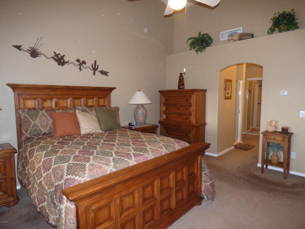 313 E Canyon St, Apache Junction, AZ 85119 photo 8