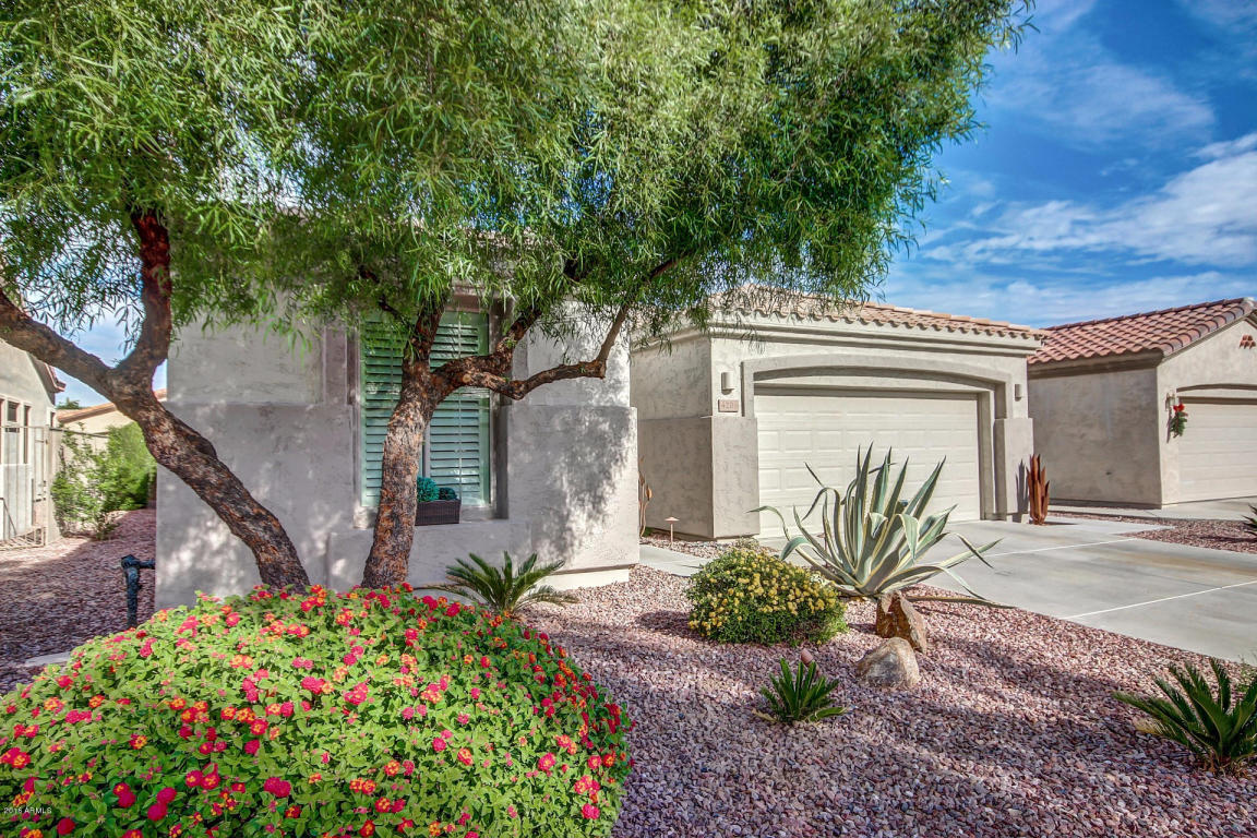 4206 E Azalea Dr, Gilbert, AZ 85298 photo 3