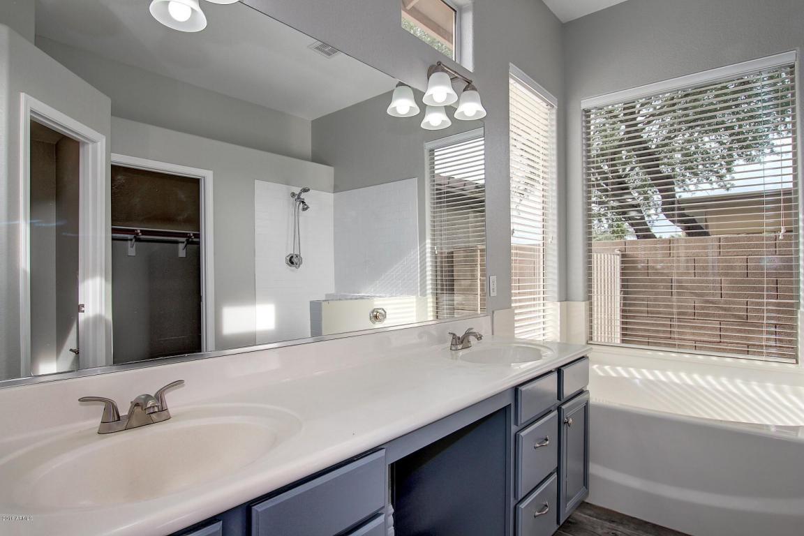 4377 E Briles Rd, Phoenix, AZ 85050 photo 19