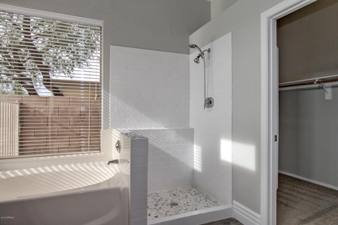 4377 E Briles Rd, Phoenix, AZ 85050 photo 20