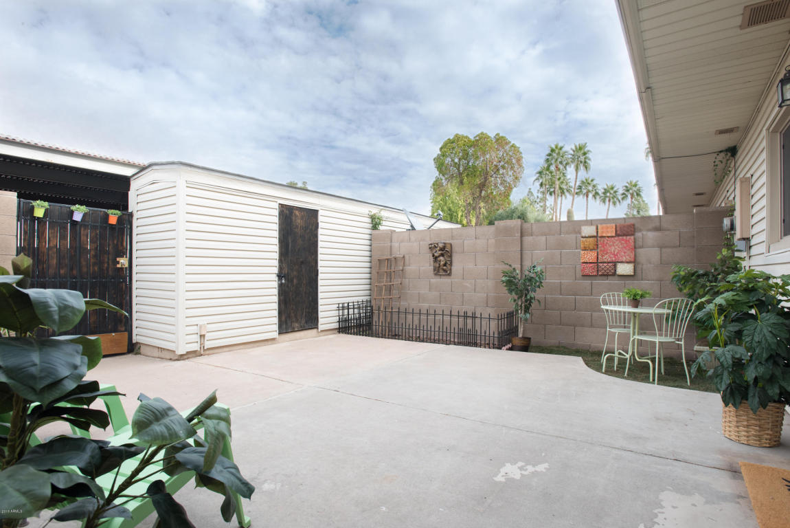 729 E Vaughn Dr, Tempe, AZ 85283 photo 16